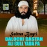 Sultan Bugti