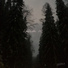 Pavvla