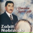 Zabit Nəbizadə