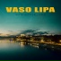 Vaso Lipa