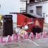 Ladyhawk
