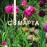 Велиргит