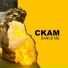 CKAM