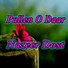 Nazeer Dost