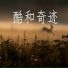 枝涵易