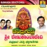 L. N. Shastri