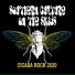Southern Culture On The Skids