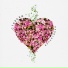 Starski - Valentinka []