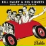 Bill Haley & His Comets
