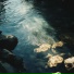 Tikai