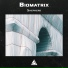 Biomatrix