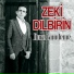 Zeki Dıbirin