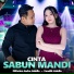 Difarina Indra Adella, Fendik Adella