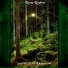 Rune Realms