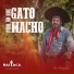 BAITACA