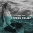 Guided Meditation Music Zone