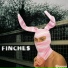 Finches
