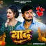 Nitesh Yadav