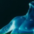 V:RGO