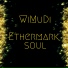 WiMuDi