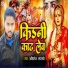 Akhilesh Aparadhi