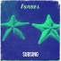 SubSing