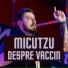 Micutzu