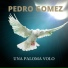 Pedro Gómez