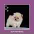 Relaxing Dog Music