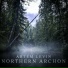 Artem Levin