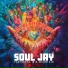 Soul Jay feat. Big Mountain