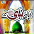 Zain ul Hassan Noorani