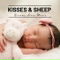 Dreamy Sleep Music