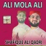 Shafique Ali Qadri