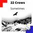 22 Crows