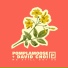 Pomplamoose