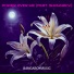 Bangaboymusic feat. Shaunacy