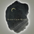 Deep Sleep Hypnosis Masters