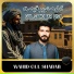 Wahid Gul Shabab