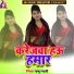 Pappu Lahari