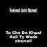 Hashmat Amin Marwat