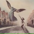 Shana Falana