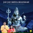 Saptarshi Majumdar, Dona Majumdar
