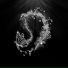 AVUITON, Fallen, OG Flossy