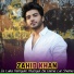 Zahid Khan