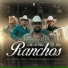 El Compa Lichu, Contenibles de Sinaloa