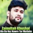 Zainullah Khushal