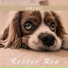 Robber Ron
