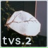 TVS