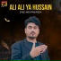 Syed Mehtab Rizvi